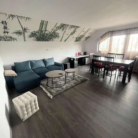 Eroilor II Apartament Lägenhet Suceava Exteriör bild