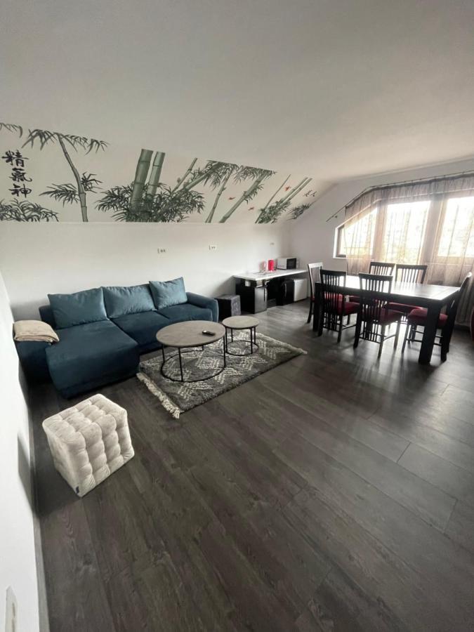 Eroilor II Apartament Lägenhet Suceava Exteriör bild